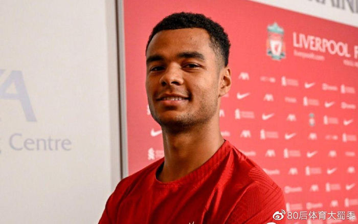 化的对照 化的对照